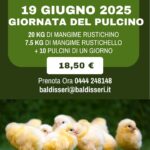 19 Giugno 2025: Giornata del Pulcino