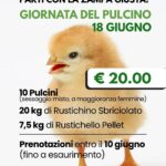 18 Giugno 2026 | Giornata del Pulcino